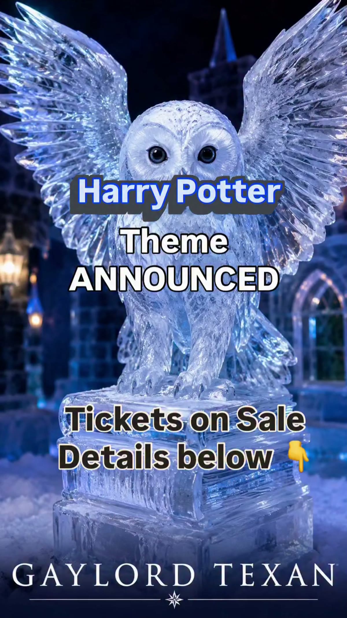 ICE! de Harry Potter en el Gaylord Texan
